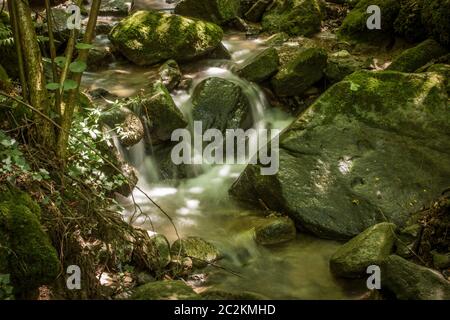 Kleiner Bach in einem Wald im Norden von Italien. Das Wasser fließt durch die Felsen unten zu erhalten. Schivanoia fällt, Teolo, Italien. Stockfoto