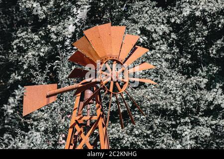 Windbetriebene Wasserpumpe mit rostigen Rohren im Hintergrund mit Baum. Stockfoto