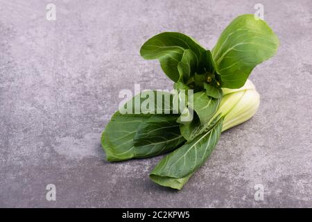 Pak Choi auf einem grauen strukturierten Hintergrund, leere Raum Stockfoto