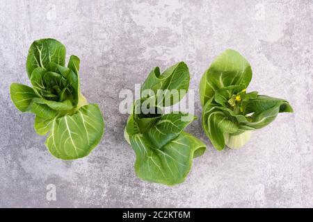 Pak Choi auf einem grauen strukturierten Hintergrund, leere Raum Stockfoto