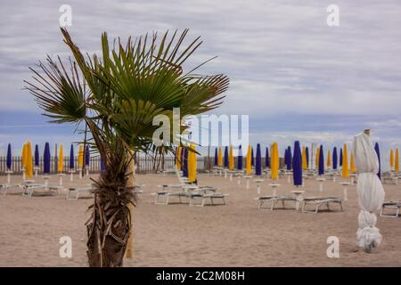 Palme in den Vordergrund mit hinter die Verkürzung eines italienischen Beach Resort geschlossen in der Nebensaison mit schlechtem Wetter. Stockfoto