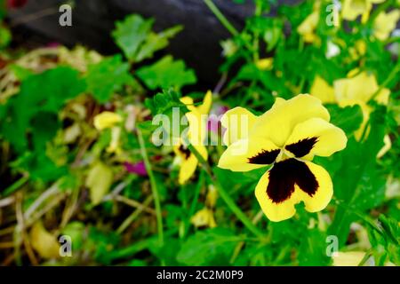 Merseyside ANSICHTEN 2020 Stockfoto