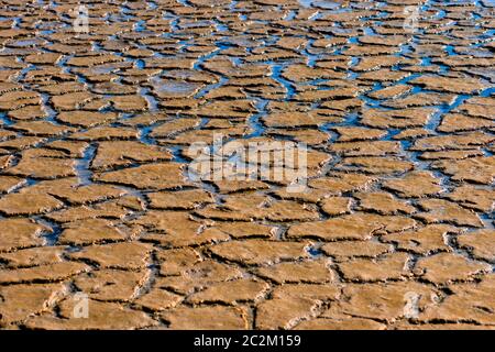 Wasser Schicht nach einem Sturm der Boden bedeckt, die von Trockenheit. Stockfoto