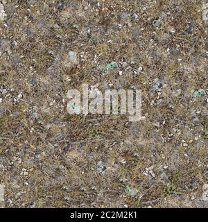 Nahtlose Textur von Plot Rocky Steppe Boden mit Muscheln und Steinen in der Küstenzone, bedeckt mit verwelkten Gras. Stockfoto