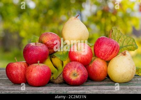 Früchte in Holztisch im Freien im Garten Stockfoto