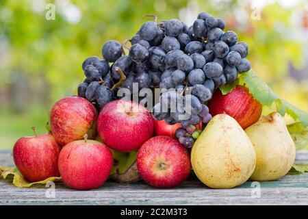 Früchte in Holztisch im Freien im Garten Stockfoto