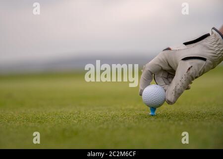 Ein golf Player bereitet die Kugel am Golfplatz zu entlassen werden. Stockfoto