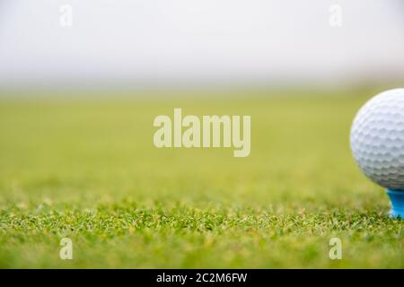 Ein golf Player bereitet die Kugel am Golfplatz zu entlassen werden. Stockfoto