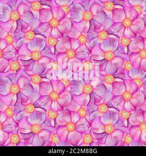 Nahtloses Muster mit Rosenhüften. Aquarell rosa Blumen isoliert auf purpurem Hintergrund. Handgezeichnete Hochzeitskarten mit Designelementen. Rosa Canina, Rose Hi Stockfoto