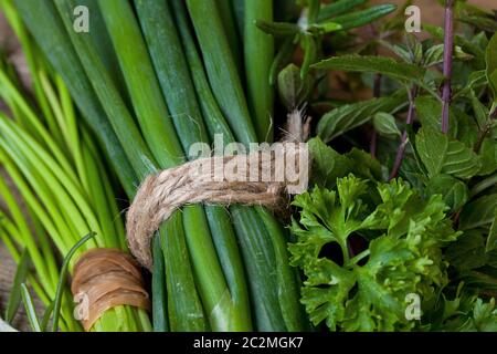 Nahaufnahme von Bündeln frischer grüner Kräuter, perfekt für Kochen, Küche und Chef-Projekte Stockfoto