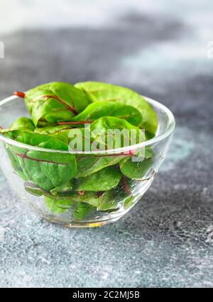 Glasschale aus rotem Chard auf grauem Hintergrund Stockfoto