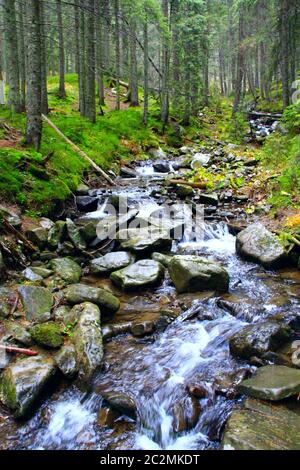 Mountain River mit einem schnellen Aktuelle. Stürmische mountain river. Wasserdurchfluss Stockfoto