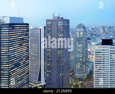 Panoramablick vom Tokyo Metropolitan Government Building in einer Vollmondnacht. Stockfoto