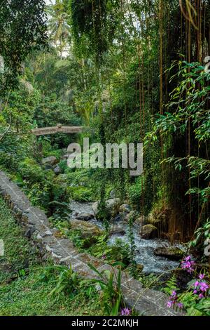 Uralte Wege rund um königliche Gräber in Gunung Kawi, Bali, Indonesien Stockfoto