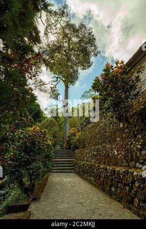 Uralte Wege rund um königliche Gräber in Gunung Kawi, Bali, Indonesien Stockfoto