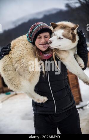 Sibirischer Hund leckt das Gesicht der jungen, blonden Frau. Stockfoto