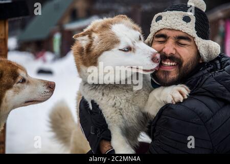 Husky leckt seinen Besitzer auf dem Gesicht Stockfoto