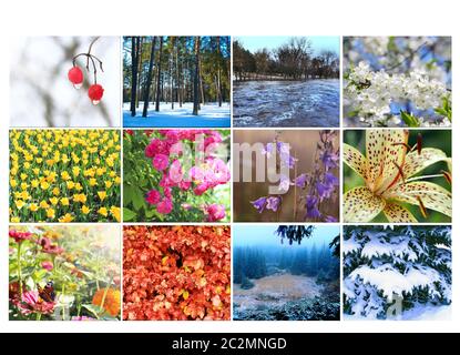 Leer mit verschiedenen zwölf farbigen Bildern der Natur für Kalender. Bereit Foto für Kalender Stockfoto