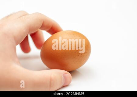 Hand hält ein Ei isoliert Stockfoto