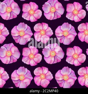Nahtloses Muster mit Rosenhüften. Aquarell rosa Blumen isoliert auf purpurem Hintergrund. Handgezeichnete Hochzeitskarten mit Designelementen. Rosa Canina, Rose Hi Stockfoto