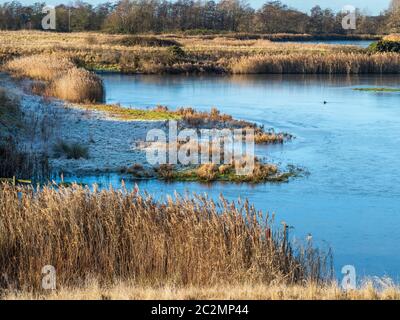 Frosty Morning at North Cave Wetlands Naturreservat in East Yorkshire, England Stockfoto