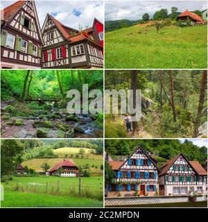 Collage mit Bildern mit Schwarzwald in Deutschland Stockfoto