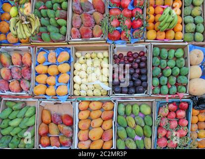 Set Obst wird in Tablett von Street Vendor verkauft. Obstschalen zum Verkauf von Mangos, Granatäpfeln, Bana Stockfoto