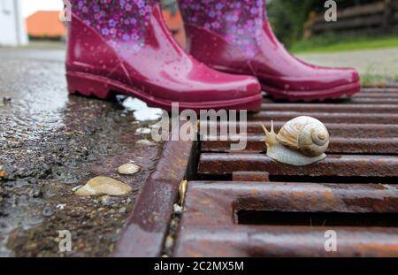 Rosa Gummistiefel auf einem Drainageraster mit Schnecke bei regnerischem Wetter Stockfoto