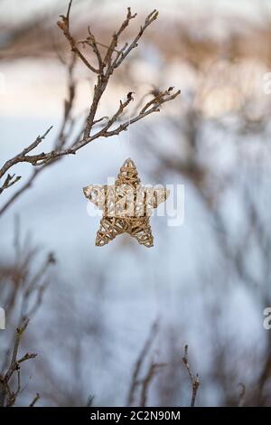 Weidenstern Weihnachtsschmuck an einem Baum an einem kalten Wintertag hängen Stockfoto