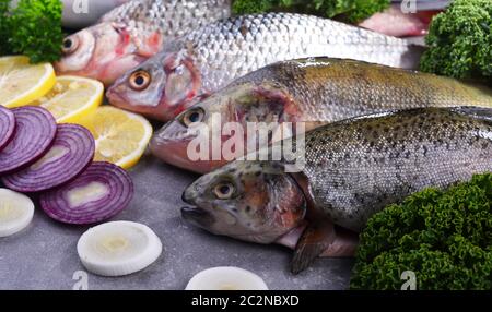 Verschiedene Fischsorten auf Küchentisch, Stockfoto