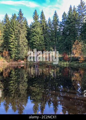 Ein kleiner See im Wald bei der Meilerhütte von Schöneck im Vogtland in Sachsen im Herbst. Stockfoto