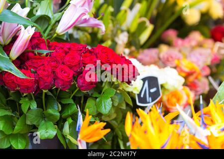 Nahaufnahme von Blumen in europäischen Outdoorladen Stockfoto