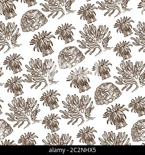 Seetang Blumen und Blätter unter Wasser monochromen nahtlose Muster Stock Vektor