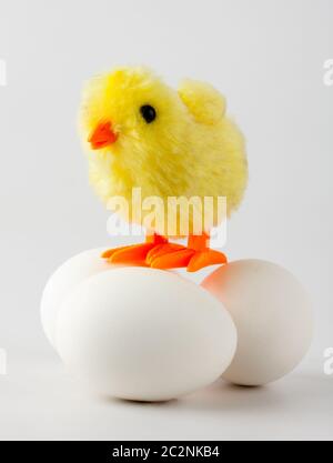 Kleines Spielzeug Baby Huhn stehend auf den Eiern Stockfoto