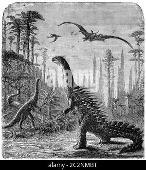 Dinosaurier, Stegosaurus und Compsognathus in einer Araukarienlandschaft., Vintage-gravierte Illustration. Erde vor dem Menschen – 1886. Stockfoto