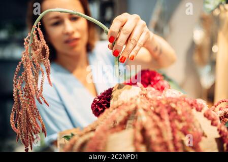 Weibliche florist schmückt mit Blumenstrauß Blumenstrauß im Shop closeup. Floral Künstler, Zusammensetzung am Arbeitsplatz Stockfoto