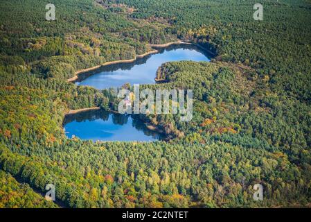 Im Frühherbst sind zwei Seen in einen großen Wald eingebettet Stockfoto