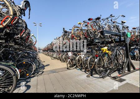 AMSTERDAM, HOLLAND - AUGUST 01: Amsterdam Hauptbahnhof. Viele Fahrräder parkten am 01. August 20 vor dem Hauptbahnhof Stockfoto