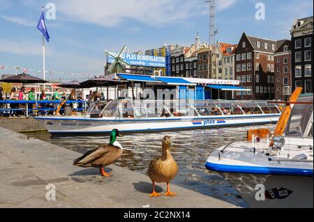 Tanzen Grachtenhäusern der Damrak, Amsterdam, Niederlande Stockfoto