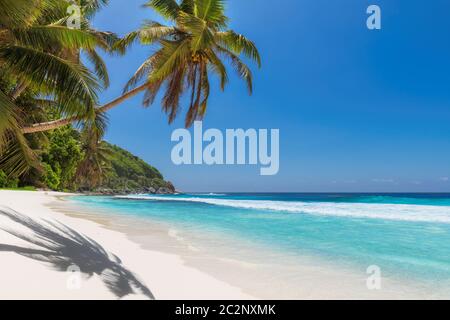 Wunderschöner sonniger Strand Stockfoto