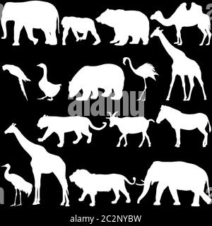 Silhouette Elefant Bär Adler Trab Ente Zebra auf weißem Hintergrund Stockfoto