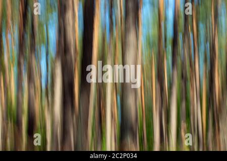 Verschwommene Bäume 020 Stockfoto