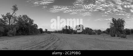 Das trockene Flussbett des Swakop Flusses am Morgen in Schwarz und Weiß Namibia Stockfoto