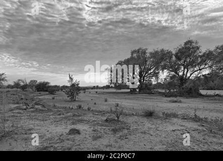 Das trockene Flussbett des Swakop Flusses am Morgen in Schwarz und Weiß Namibia Stockfoto