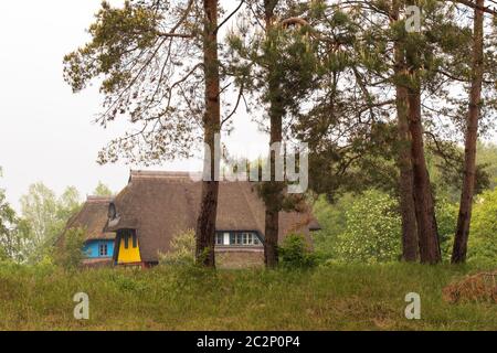 Häuser 002. Fischland Darss Zingst. Deutschland Stockfoto