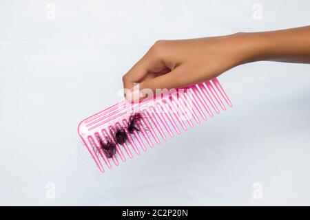 Eingefallene Haare stecken in den Kamm Stockfoto