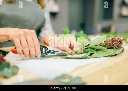 Weibliche florist mit gartenschere in der Hand macht Flower Bouquet. Blumen, Dekoration Werkzeuge Stockfoto