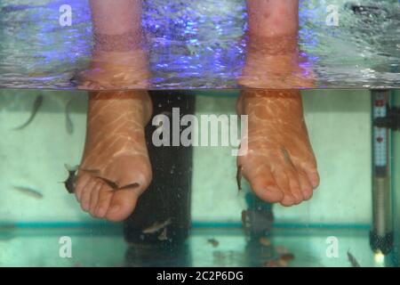 Junge Frau, die Massage mit kleinen Fischen erhält. Peeling mit Fisch. Mädchen genießen medizinische procedurer Stockfoto