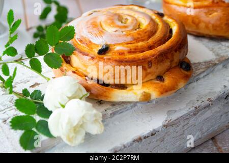 Rosinenbrötchen. Bun mit Rosinen und Vanillecreme Nahaufnahme auf weißem schäbigen Hintergrund mit vintage weißen Rose Stockfoto