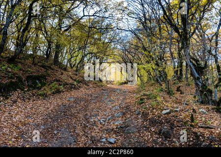 Georgische Herbstlandschaft Stockfoto